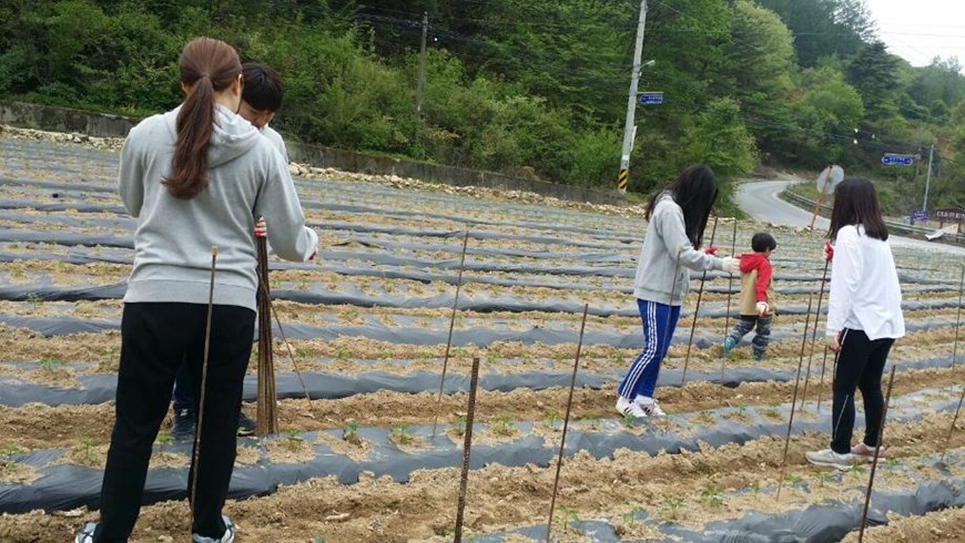 중국어학과 1학기 농촌봉사활동~