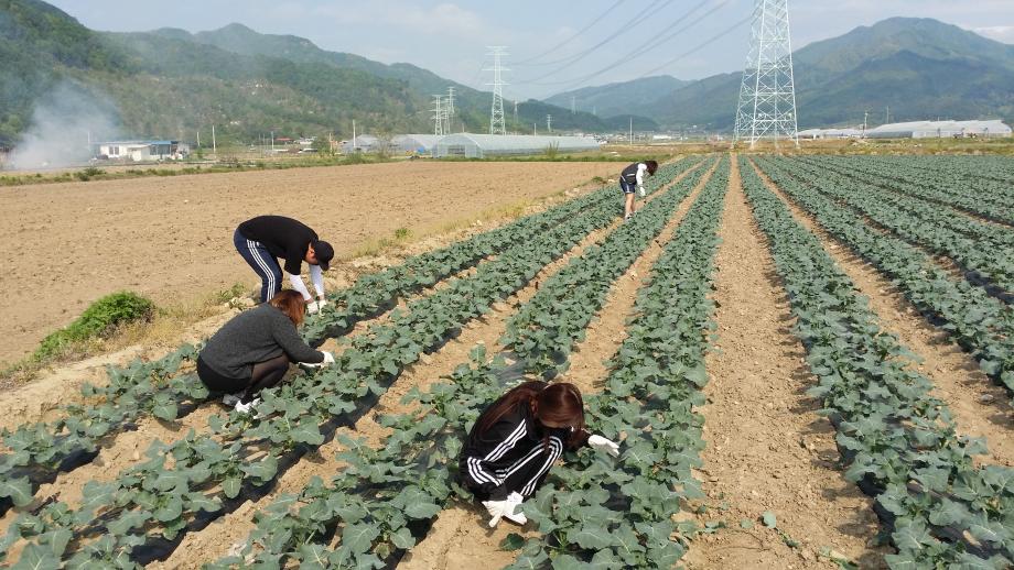 소방방재학과 1학기 농촌 봉사활동